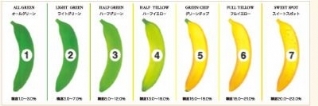Improved banana ripening results in 25-33% more sales at retail: find out how