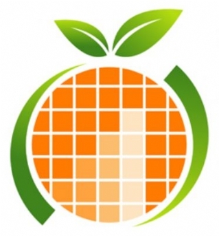 Siete técnicas sencillas y efectivas para aumentar la productividad y reducir costes en cosecha y transporte de frutas y hortalizas.